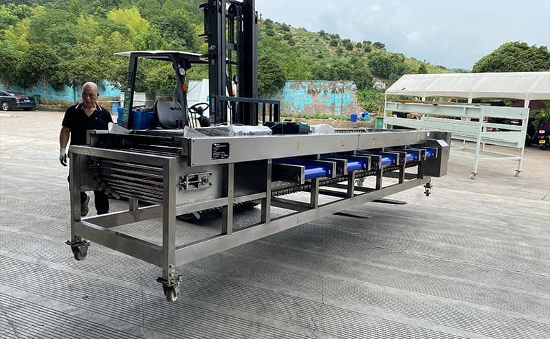 date grading machine.jpg